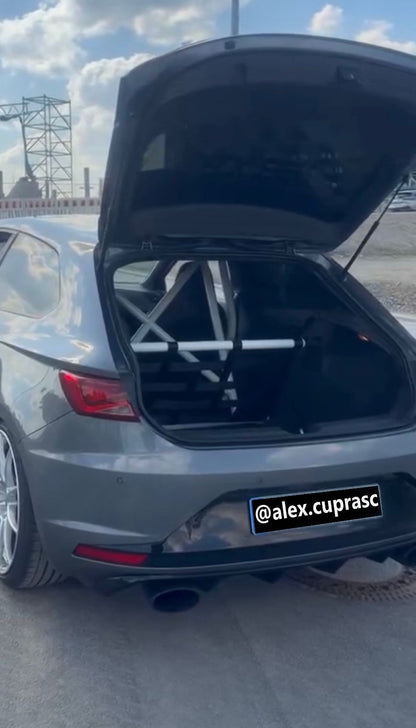 Seat Leon 5F (Cupra) Clubsport Netz (Set)